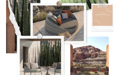 Inspiration and Tips : Transform Your Outdoors into a Desert Oasis